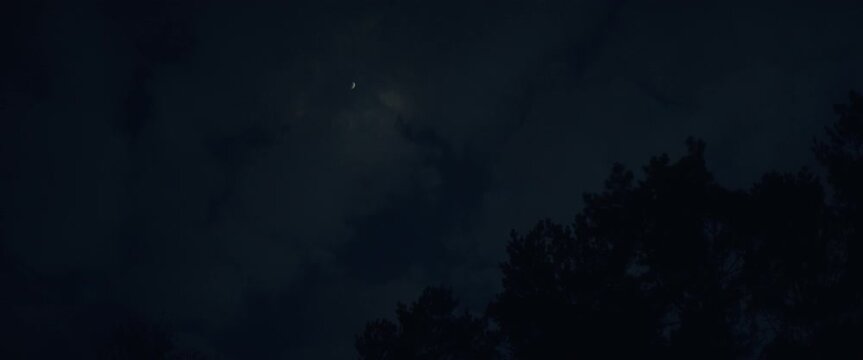 Dark clouds over the forest at night