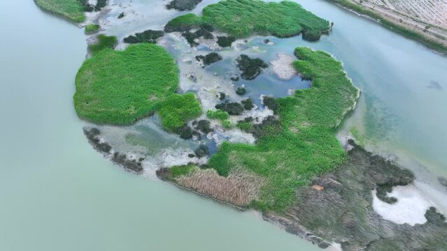 Aerial view from a drone of the spring landscape in the Estanca de Borja. Borgia. Saragossa. Aragon. Spain. Europe