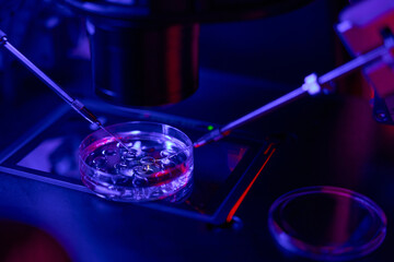 Close-up micromanipulator doing fertilization of female cell - obrazy, fototapety, plakaty
