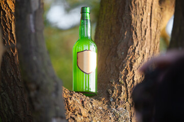 A green bottle of cyder, apple juice, with a  label of a gold shield and a cork tap in a brown bark wood of a tree with a blurry background of the forest