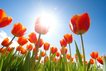 Fototapeta premium closeup of a bunch of tulips against a sunny sky background, created with generative ai