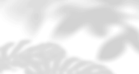 Realistic blurred natural light leaves, palm and window shadow overlay on wall paper or frames texture, abstract background, summer, spring, autumn for product presentation podium and mockup seasonal.