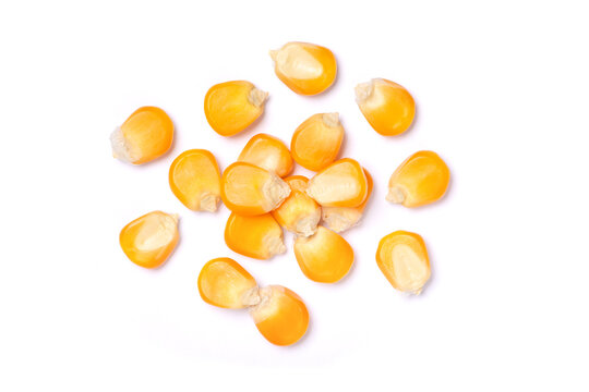 Pile of dried corn kernels isolated on white background, top view, flat lay.