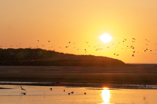 Sunrise on the Estuary