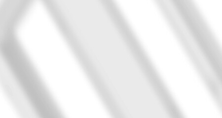 Realistic blurred natural light leaves, palm and window shadow overlay on wall paper or frames texture, abstract background, summer, spring, autumn for product presentation podium and mockup seasonal.