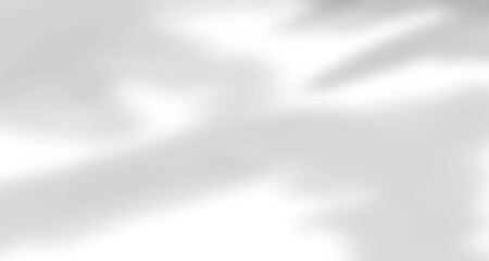 Realistic blurred natural light leaves, palm and window shadow overlay on wall paper or frames texture, abstract background, summer, spring, autumn for product presentation podium and mockup seasonal.