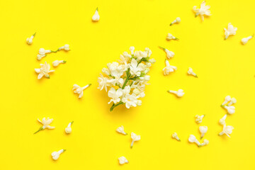 Lilac flowers on yellow background