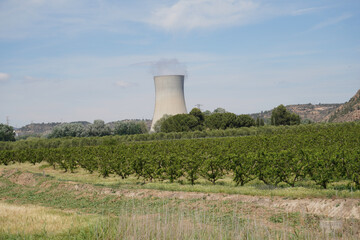 Nuclear power plant on the Rio Ebro in Spain with a cooling tower in a nice landscape
