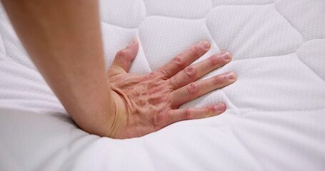 Hand Testing Orthopedic Memory Foam Core