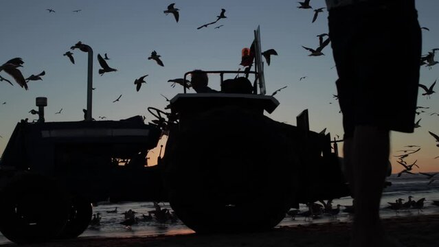 Tractor drive seashore and seagulls fly at sunset