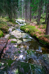 Small Arbersee on the slope of Mount Arber in the Bavarian Forest. Bavaria. Germany.