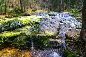 Small Arbersee on the slope of Mount Arber in the Bavarian Forest. Bavaria. Germany.