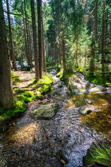 Obraz premium Small Arbersee on the slope of Mount Arber in the Bavarian Forest. Bavaria. Germany.