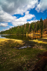 Small Arbersee on the slope of Mount Arber in the Bavarian Forest. Bavaria. Germany.