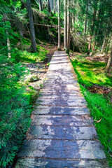 Obraz premium Small Arbersee on the slope of Mount Arber in the Bavarian Forest. Bavaria. Germany.