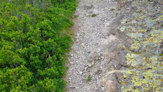 Panoramic view of the valley on top of the rocky ridge among the stones overlooking the beautiful valley. Outdoor and mountain hike background. Natural landscape in Bulgaria, Sliven