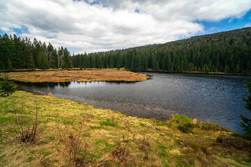 Small Arbersee on the slope of Mount Arber in the Bavarian Forest. Bavaria. Germany.