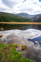 Small Arbersee on the slope of Mount Arber in the Bavarian Forest. Bavaria. Germany.