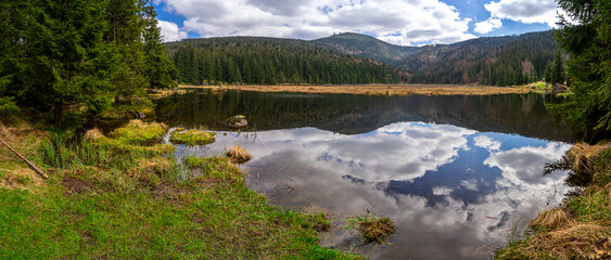 Small Arbersee on the slope of Mount Arber in the Bavarian Forest. Bavaria. Germany.