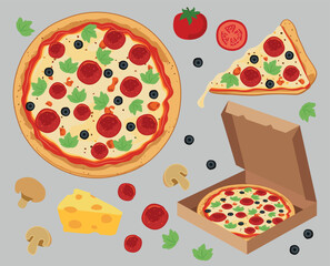 pizza, pizza vector elements, pizza ingredients, tomato, mushroom, salami, cheddar cheese