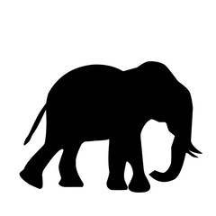 Obraz premium Elephant Silhouette Vector 