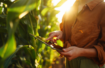 Smart farm. Farmer female standing in corn field with tablet. Agriculture, gardening or ecology concept.
