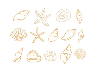 set of seashells