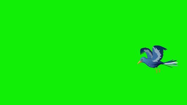 2d bird flying frame by frame animation 4k screen green