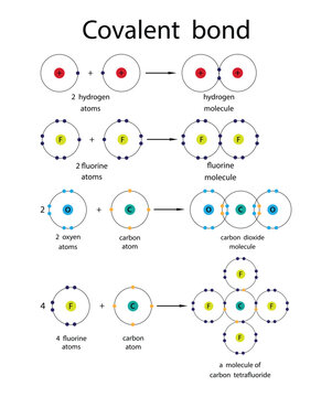 illustration of chemistry, Covalent bond, covalent bonds including single, double, and triple bonds, Scientific Designing Of Covalent Bond Types