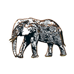 sketch of an elephant with transparent background