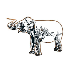 sketch of an elephant with transparent background