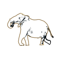 Obraz na płótnie Canvas sketch of an elephant with transparent background