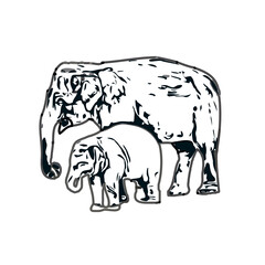 sketch of an elephant with transparent background