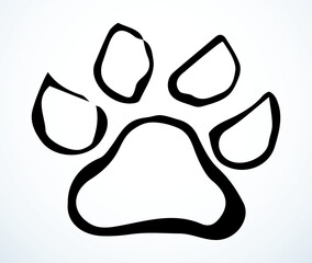 Cats foot print. Vector drawing