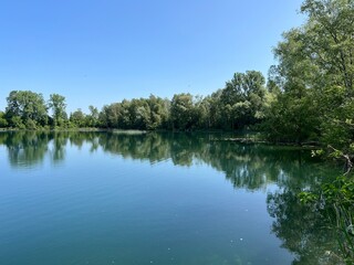 Summer atmosphere in the Old Rhine Nature Park, Lustenau (Austria) - Vorfrühlings Stimmung im Naturpark Alter Rhein oder Naturpark am Alten Rhein, Lustenau - Österreich (Osterreich or Oesterreich)