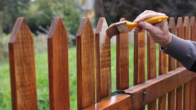 Painting protective varnish on wooden picket fence at backyard. Motion of hand with paintbrush. Handheld shot
