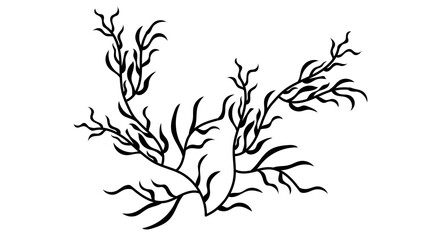 Tree branches with Leaves Shilouette used for floral design resources, invitation, black and white background