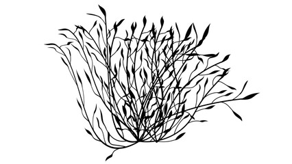 Tree branches with Leaves Shilouette used for floral design resources, invitation, black and white background