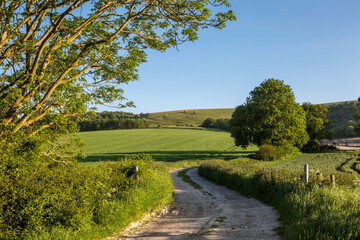 A view over farmland in rural Sussex on a sunny spring evening