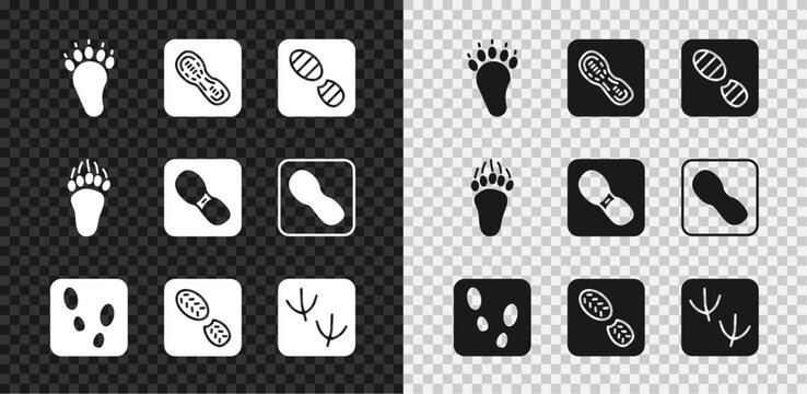 Set Bear paw footprint, Human footprints shoes, Dove, and icon. Vector