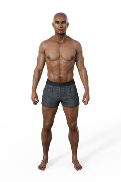 A 3D illustration of a male body with mesomorph body type