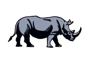 Vector color  illustration of rhino isolated on white background, grey rhinoceros 