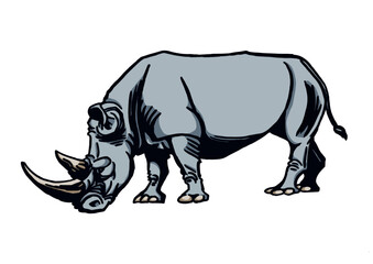 Vector color  illustration of rhino isolated on white background, grey rhinoceros 