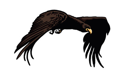 Grapical color  vulture isolated on white background, vector illustration .