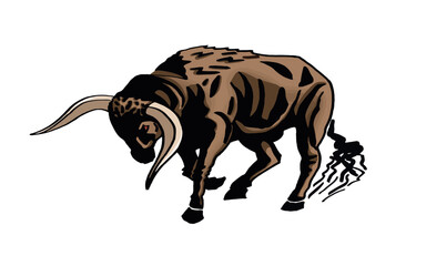 Vector color bull isolated on white background,graphical illustration