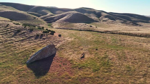 Carrizo Plain Painted Rock California Valley Aerial Drone