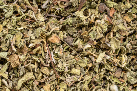 Cistus Incanus tea, also know as Rockrose helps to support immune and digestive system, closeup background of loose leaves