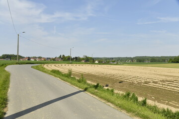 Fototapeta na wymiar Route de campagne entre champs et villages à Braine-le-Comte 