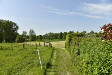 Obraz premium Sentier de promenade entre les prairies à Braine-le-Comte 