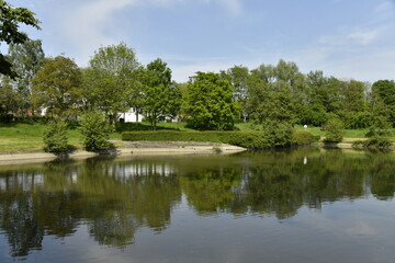 Reflet dans l'eau au parc des Etangs Joseph Martel à Braine-le-Comte 